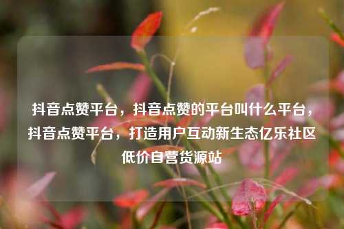 抖音点赞平台，抖音点赞的平台叫什么平台	，抖音点赞平台，打造用户互动新生态亿乐社区低价自营货源站  第1张