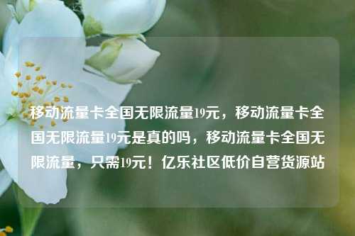移动流量卡全国无限流量19元，移动流量卡全国无限流量19元是真的吗，移动流量卡全国无限流量	，只需19元！亿乐社区低价自营货源站  第1张